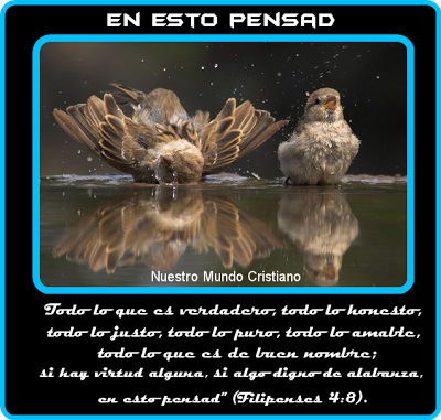 ¿Con qué llenamos nuestra Mente?