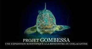 Proyecto Gombessa