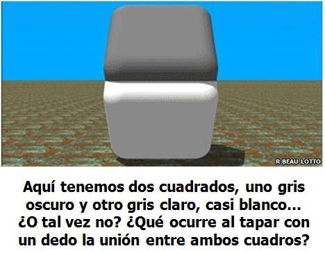 Por qué somos incapaces de tomar buenas decisiones financieras