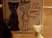 Luna nueva… nuevamente