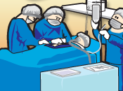 Diario trasplante: preparación