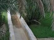 sistemas irrigación Omán