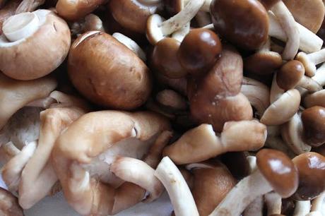 'Ya se lo que quiero' en 'Ideas en Polvo' 'Ya se lo que quiero' en 'Ideas en Polvo'