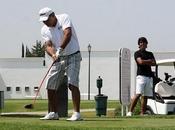 Cambios importantes categorías