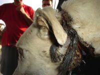 Haz clic para ver en grande