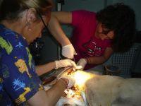 Haz clic para ver en grande