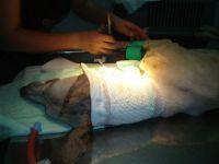 Haz clic para ver en grande