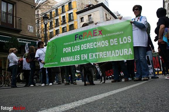 Manifestación Antitaurina “La cultura no es tortura”  (Ma...