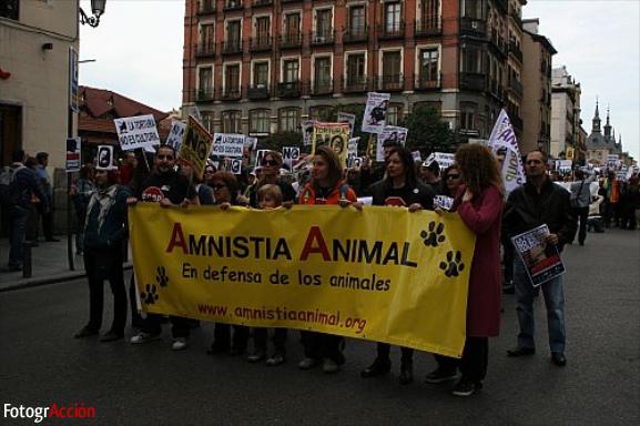 Manifestación Antitaurina “La cultura no es tortura”  (Ma...