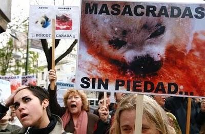 FOCAS, este año, más que nunca: PROTESTA   jueves 8 de abril