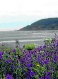 El Estrecho, el primer parque natural protegido contra vertidos marítimos