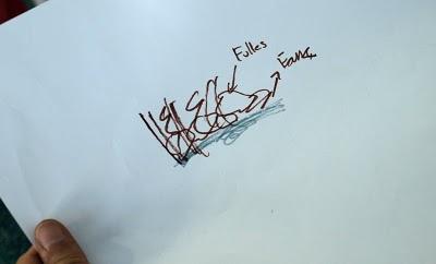 Dissenya el teu niu. Resultados