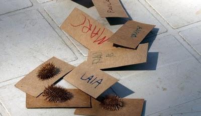 Dissenya el teu niu. Resultados