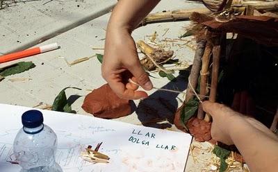 Dissenya el teu niu. Resultados