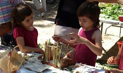 Dissenya el teu niu. Resultados