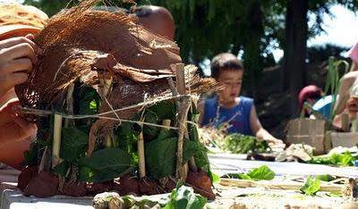 Dissenya el teu niu. Resultados