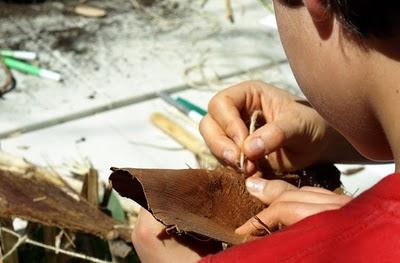 Dissenya el teu niu. Resultados