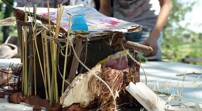 Dissenya el teu niu. Resultados