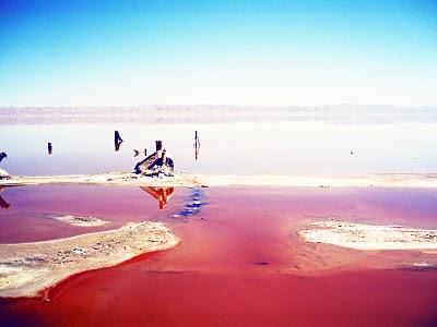 Túnez: la bella casa de Paul Pirelli en la península de Cap Bon