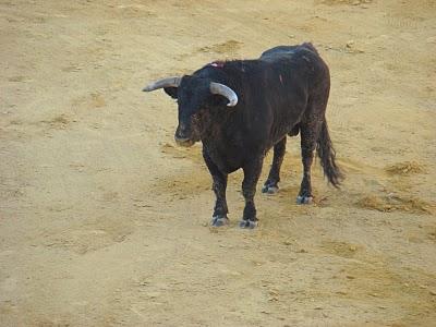 Un paseo por Graná