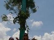 Pueblos zapatistas cañón sumidero