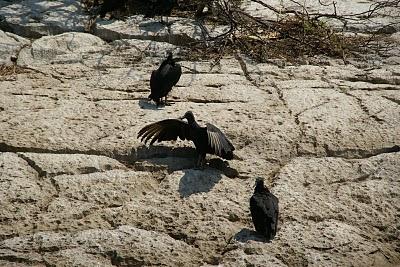 Pueblos zapatistas y el cañón del sumidero