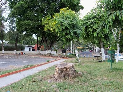Primer día de trabajo