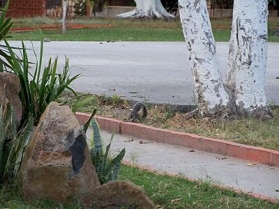 Primer día de trabajo