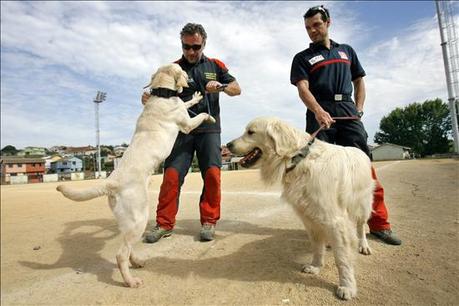 Turco: Un héroe a 4 patas.