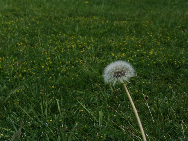 Ya va siendo hora...