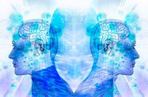 noticias, mundo, deporte, gastronomia, cine, tecnologia, ciencia, arte, filosofia, musica