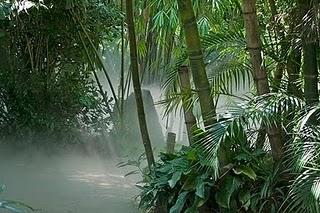 22 de abril el día de la Tierra, cuidemos de ella de una vez...