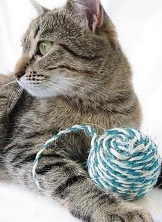 EL INSTINTO CAZADOR EN LOS FELINOS