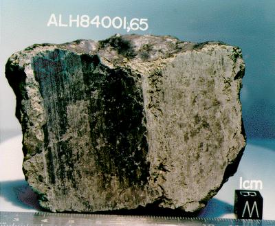 Meteorito ALH84001 muestra evidencia de vida microscópica en Marte