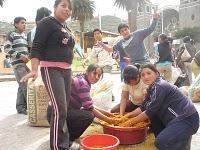 Alfombras de la I.E. Simón Bolívar para el CORPUS CHRISTI (Otuzco 2010 )