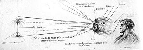 Arte para los ojos.