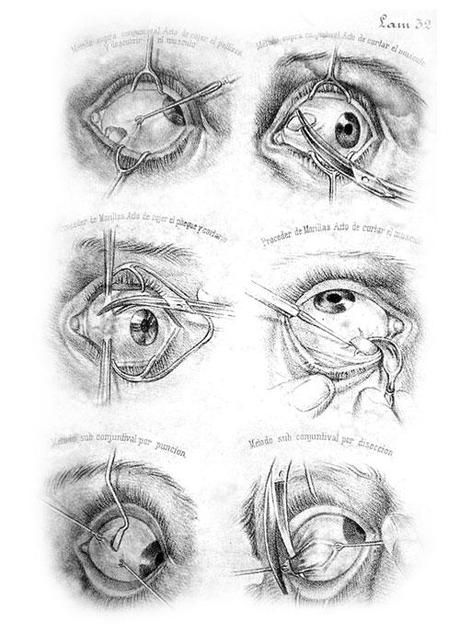 Arte para los ojos.