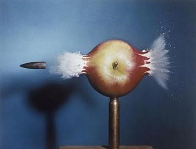 Comienza la XIII edición de PHotoEspaña con 69 propuestas para elegir