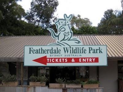 Visitando Sydney: el Parque Featherdale