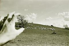 Cristalino artificial para visión de alta definición