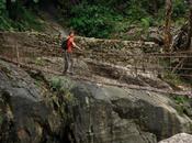 inexplicable capricho naturaleza