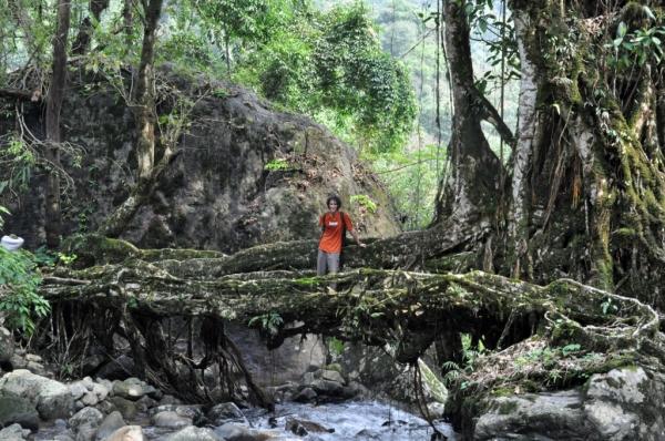 Un inexplicable capricho de la naturaleza