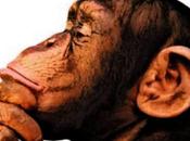 [Linuxconsejo] ¿Qué Linux instalo?