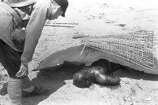 La tragedia de la bomba atómica de Hiroshima