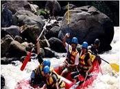 Infoxicación política