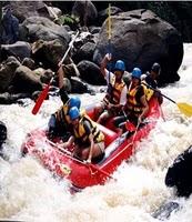 Infoxicación política