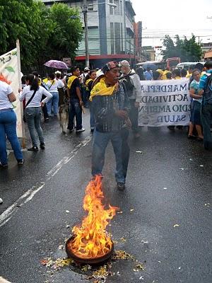 Día del medio ambiente