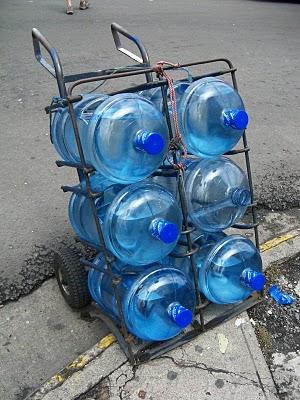 Día del medio ambiente