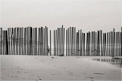 Unas ideas rapiditas sobre el dospuntocero y la salud Unas ideas rapiditas sobre el dospuntocero y la salud