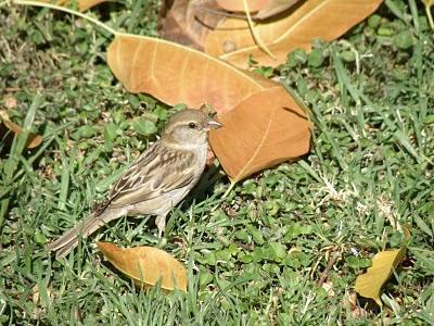 Sesión en el Parque de la Paz